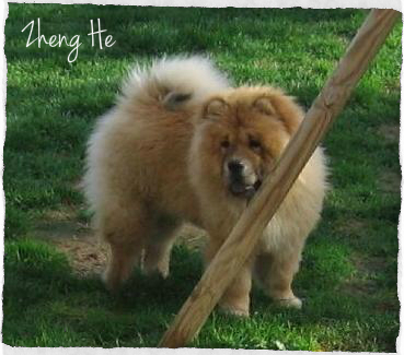 Eye candy bohua de Zheng He