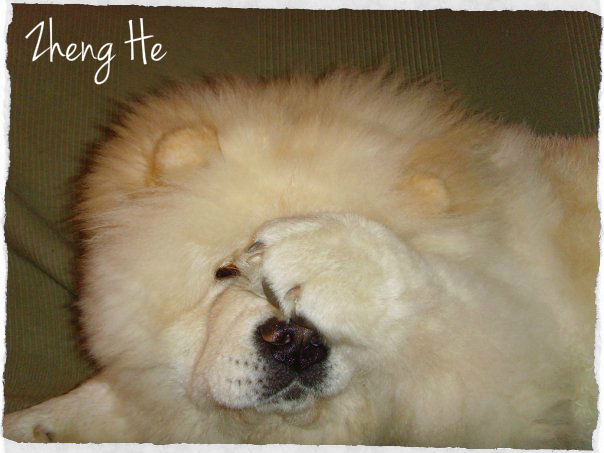 Eye catcher beng beng de Zheng He