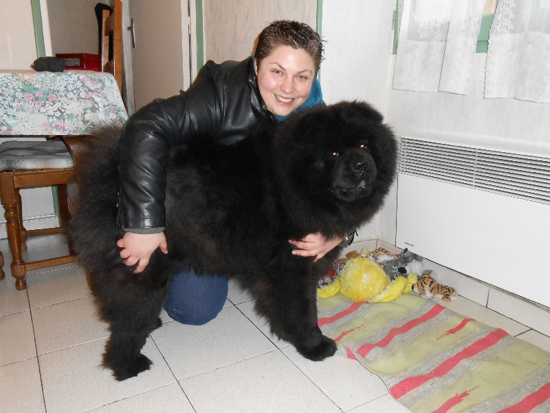 Fantastic aramis ci xiang de Zheng He