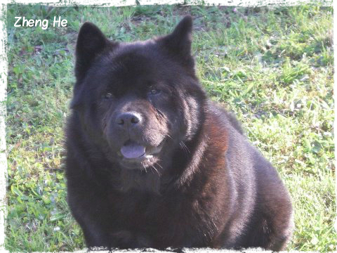 French kiss da ying de Zheng He