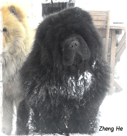 Easy lover ba xin de Zheng He
