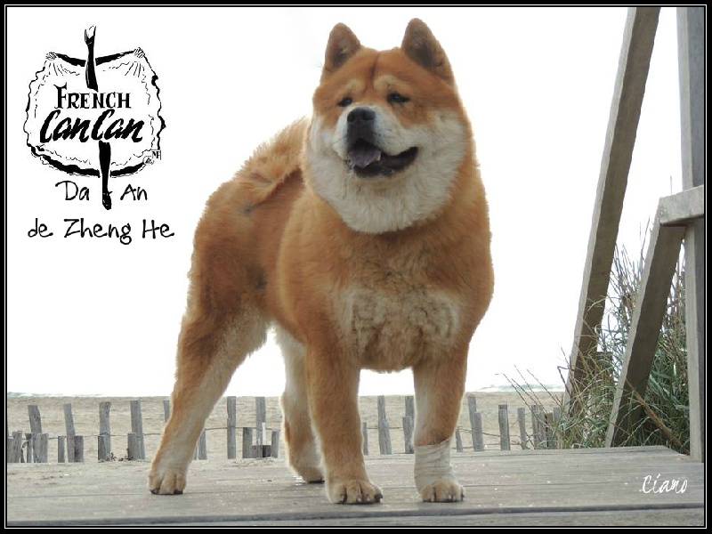 French can-can da an de Zheng He