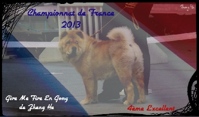 de Zheng He - Félicitations au duo Gimmee/Lilou !
