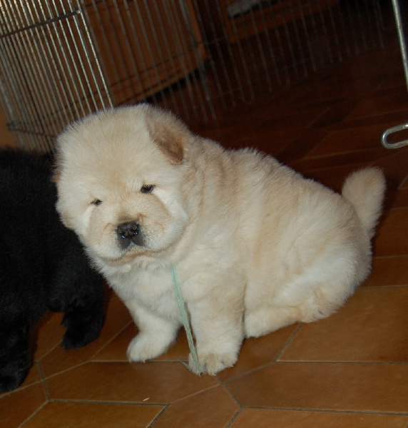 Portée B (Cyrus et Coxie)